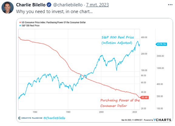 Grafiek met vergelijking tussen cash en aandelen sinds 1950.
